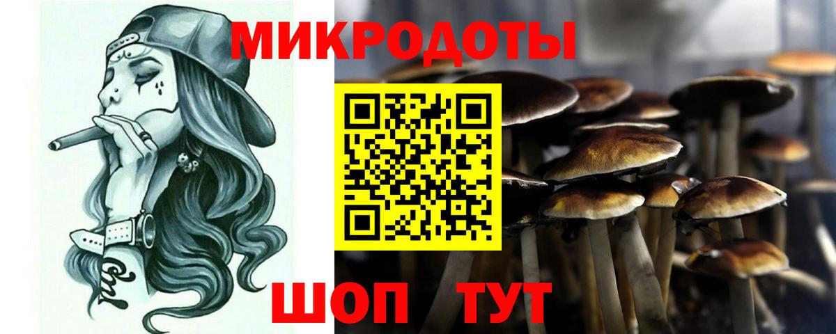 Тверь  Псилоцибиновые грибы Psilocybine cubensis  Вход с VPN 